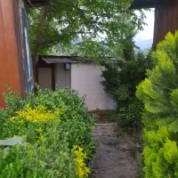 بهشت-کوچک-علی-بابا