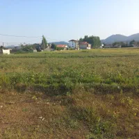 فروش ۲۰۰۰ متر زمین داخل طرح چسبیده به مسکونی|فروش زمین و ملک کلنگی|پره‌سر, |دیوار