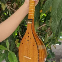 سه تار/ سه تار حرفه ای