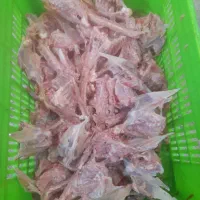 اسکلت مرغ تازه و منجمد برای سگ و پناهگاه|لوازم جانبی حیوانات|صفادشت, |دیوار