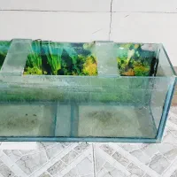 شیشه آکواریوم