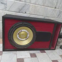 کارتون ها دارد