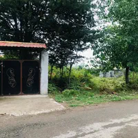 زمین مسکونی ۲۵۰ متری با پروانه ساخت /تهاتر/ معاوضه|فروش زمین و ملک کلنگی|رشت, سیا اسطلخ|دیوار