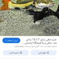 ماهی ردتیل گوشتخوار سایز بزرگ|ماهی|همدان, |دیوار