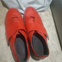 کفش چرم|کیف، کفش، کمربند|پرند, فاز ۶|دیوار