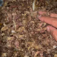 غذای سگ و گربه (گوشت و مغز قلم)