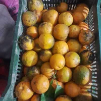 نارنج اب دار