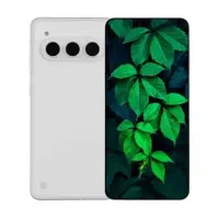 داریا باند 2