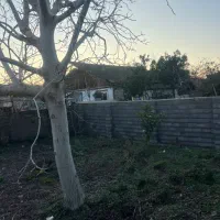 زمین مسکونی ۲۶۰متری