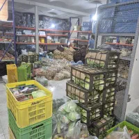 استخدام راننده با ماشین متعهد