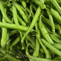 لوبیا سبز|خوردنی و آشامیدنی|خمینیشهر, |دیوار