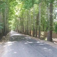 زمین4دیواری-ویلایی-نزدیک-به-چیتگرمعاوضه-با-خودرو