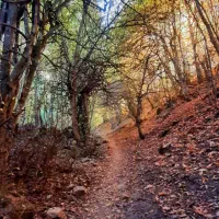 زمین ۲۰۰ متردونبش غفاری