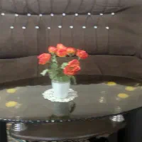 مبل|مبلمان خانگی و میز عسلی|تربت‌حیدریه, قائم|دیوار