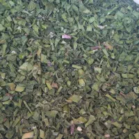 تره پادنا|خوردنی و آشامیدنی|یاسوج, |دیوار