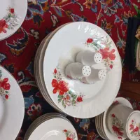 چینی ۶نفره|سرویس روتختی|نجف‌آباد, قلعه سفید|دیوار