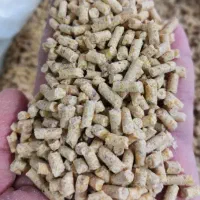 دان مرغ و نهاده دامی درجه یک و با کیفیت