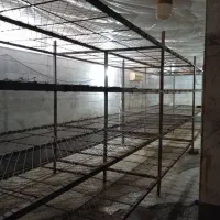 اجاره-سالن-قارچ