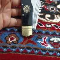 شادگان