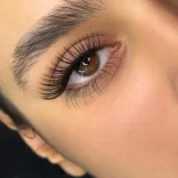 مژه|خدمات آرایشگری و زیبایی|رشت, کاکتوس|دیوار