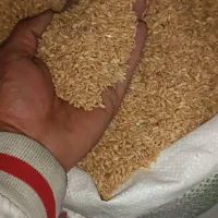 مرغ و خروس زنده دان مرغی|حیوانات مزرعه|شهریار, کرد امیر|دیوار