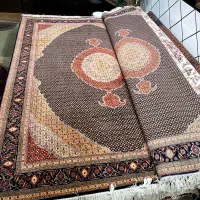 جفت نه متری ماهی مرینوس