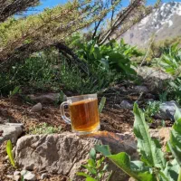 تشکیل گروه طبیعت گردی ودورهمی ورزشی