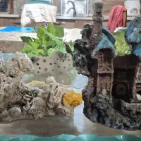 لوازم آکواریوم