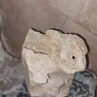 سنگ آکواریوم|ماهی|دماوند, دماوند|دیوار