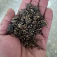کنجاله افتابگردان