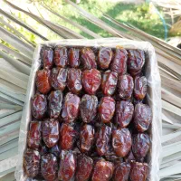 خرما کبکاب دستچین شده دشتستان|خوردنی و آشامیدنی|تهران, زعفرانیه|دیوار