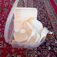 ظرف مسافرتی