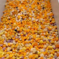 سردی مفاصل رماتیسم|خوردنی و آشامیدنی|تهران, یافت آباد شمالی|دیوار