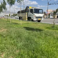 جک ۶تن مدل۹۶بدون رنگ درحدصفر