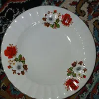 ده عدد بشقاب چینی سالم جنس خوب