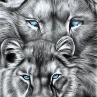 آموزشگاه نقاشی نور|خدمات آموزشی|رشت, چمارسرا|دیوار