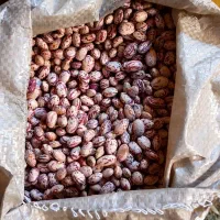 لوبیا چیتی درجه‌ یک|خوردنی و آشامیدنی|مهربان, |دیوار