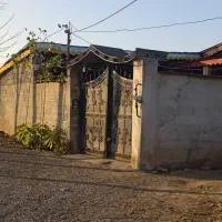 نقلی-شهر-ساحلی-زیباکنار-180متری