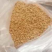 دان جوجه  مرغ   بوقلمون