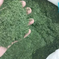 سبزی خشک