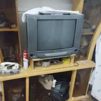 تلویزیون بامیز