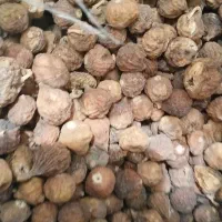 انجیر کوهی استهبان فقط وفقط عمده|خوردنی و آشامیدنی|اهواز, کمپلو شمالی|دیوار