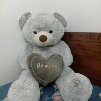 خرس بزرگ|اسباب‌‌بازی|الوند, |دیوار