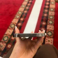 13poromax 256|موبایل|فردیس, قریشی|دیوار