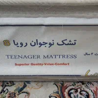 تشک نوجوان رویا