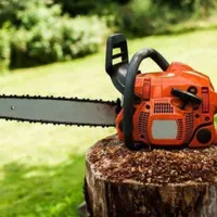 هرس برش درخت و خدمات باغبانی