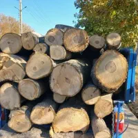 خرید درخت و چوب و هرس کاری درختان