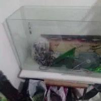 دو عدد آکواریوم بزرگ مخصوص مغازه ومنزل ومحل کار|ماهی|بومهن, |دیوار