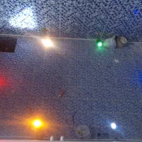 کارگر ساده ترجیحا اتباع