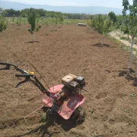 شخم زنی|خدمات باغبانی و درختکاری|اهر, |دیوار